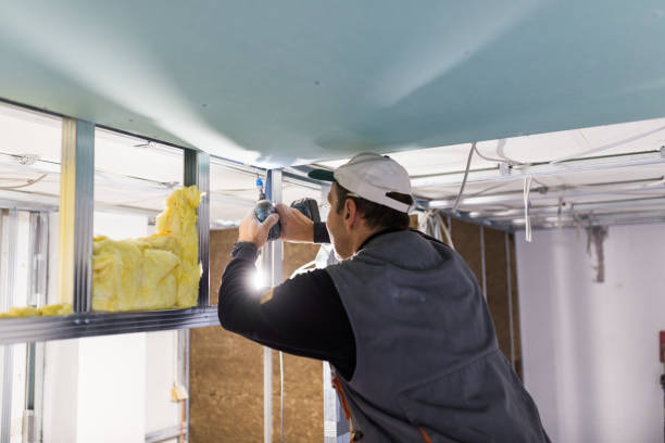 Types of Insulation We Offer in Zwolle, LA
