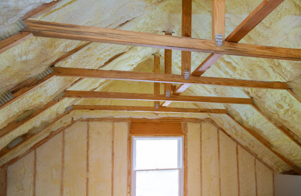 Trusted Zwolle, LA Insulation Contractor Experts