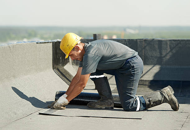 Best Geographic-Specific Insulation Services in Zwolle, LA