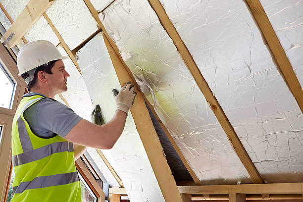 Best Blown-in Insulation in Zwolle, LA
